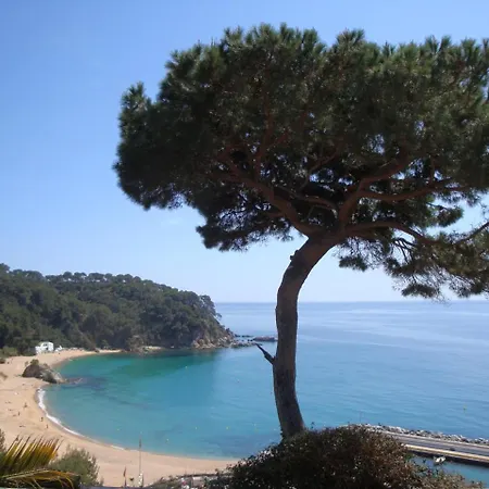Maria Villa Lloret de Mar